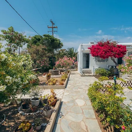 Nostos Sifnos * Apollonia