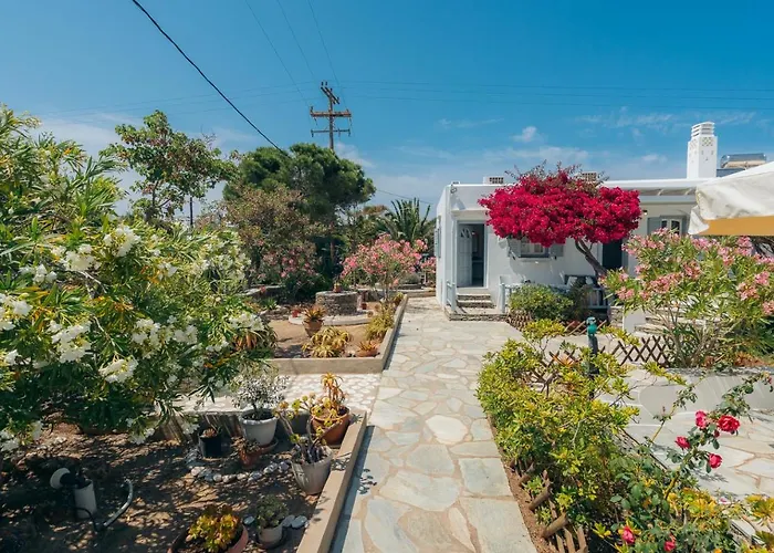 Nostos Sifnos * Apollonia